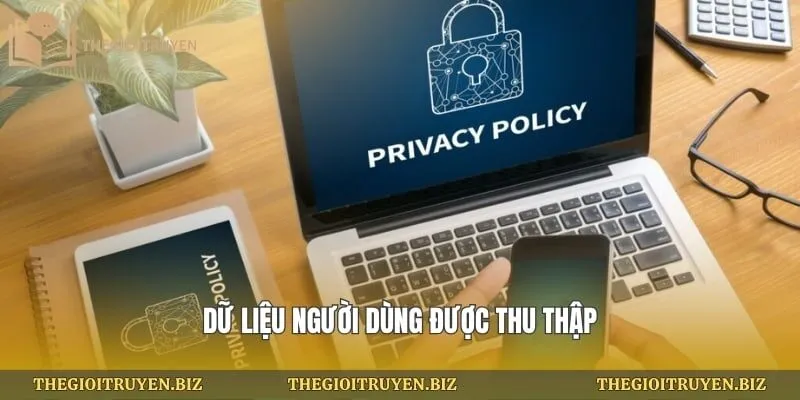 Dữ liệu người dùng được thu thập
